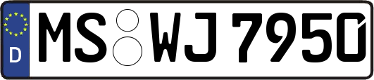 MS-WJ7950