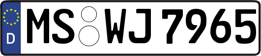 MS-WJ7965