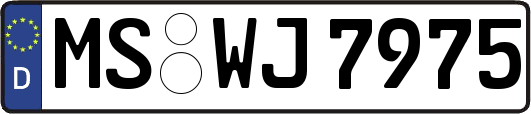 MS-WJ7975