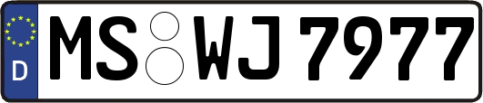 MS-WJ7977