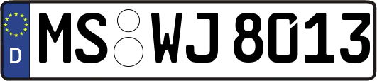 MS-WJ8013