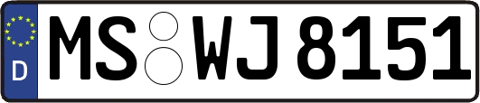 MS-WJ8151