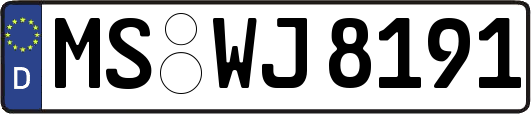 MS-WJ8191