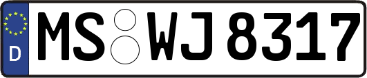 MS-WJ8317