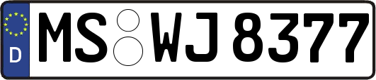 MS-WJ8377