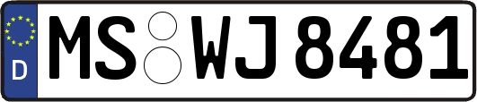 MS-WJ8481