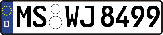 MS-WJ8499