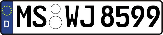 MS-WJ8599