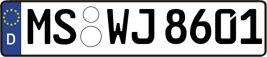MS-WJ8601
