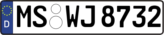 MS-WJ8732