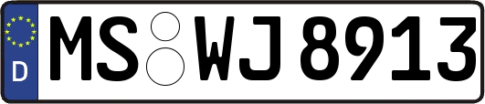 MS-WJ8913