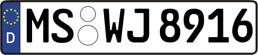 MS-WJ8916