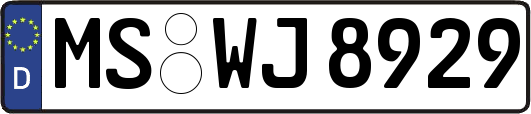 MS-WJ8929