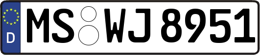 MS-WJ8951
