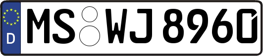 MS-WJ8960