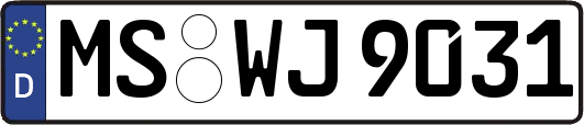 MS-WJ9031