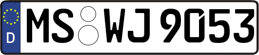 MS-WJ9053