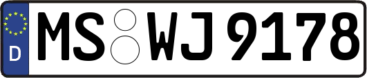MS-WJ9178