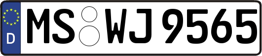 MS-WJ9565