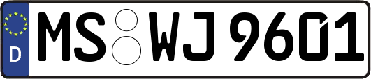 MS-WJ9601