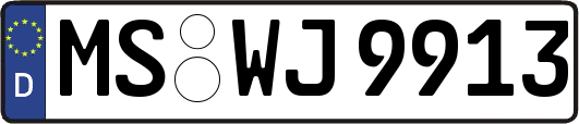 MS-WJ9913