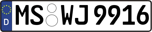 MS-WJ9916