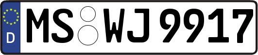 MS-WJ9917