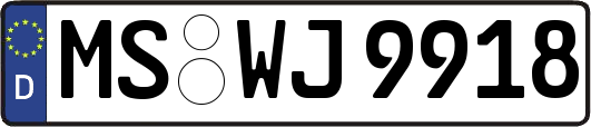 MS-WJ9918