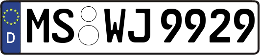 MS-WJ9929