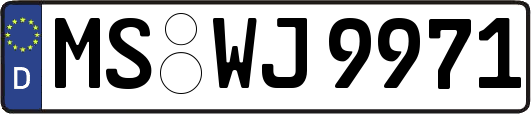 MS-WJ9971