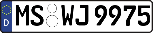 MS-WJ9975