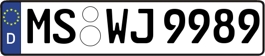 MS-WJ9989