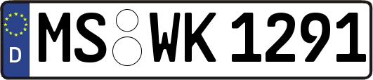 MS-WK1291