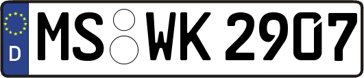 MS-WK2907