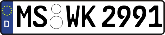 MS-WK2991