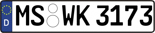MS-WK3173