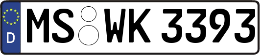 MS-WK3393