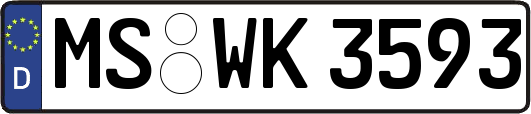 MS-WK3593