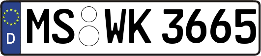 MS-WK3665