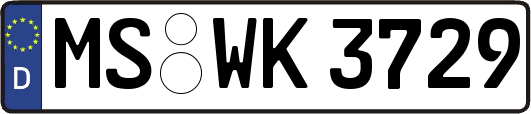 MS-WK3729