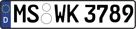 MS-WK3789