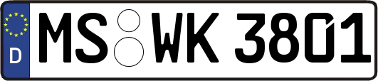 MS-WK3801