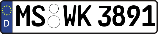 MS-WK3891