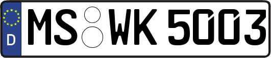 MS-WK5003