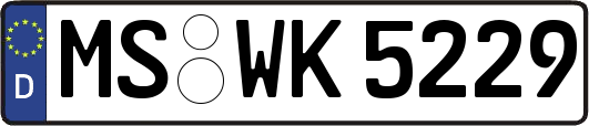 MS-WK5229