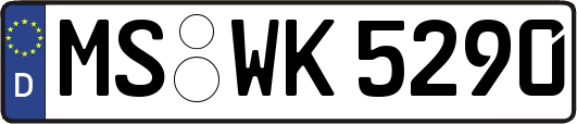 MS-WK5290