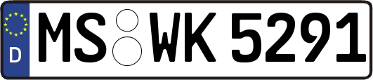 MS-WK5291