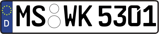 MS-WK5301