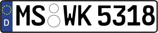 MS-WK5318
