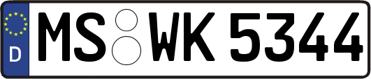 MS-WK5344